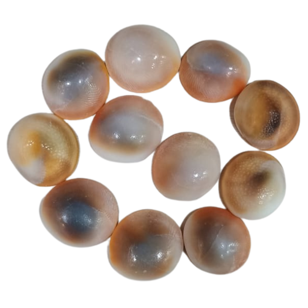 Gomati Chakra